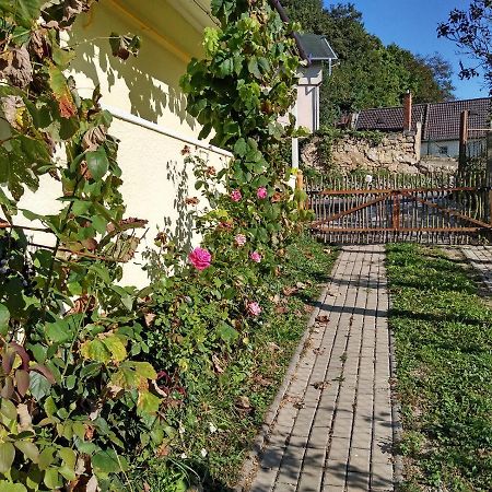 Lately Renovated Country House Trencin Exterior foto