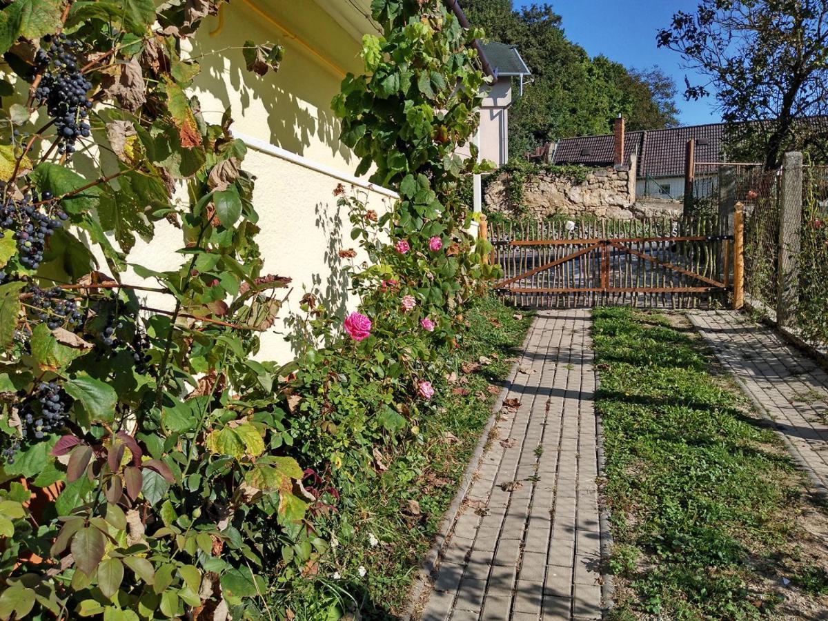Lately Renovated Country House Trencin Exterior foto