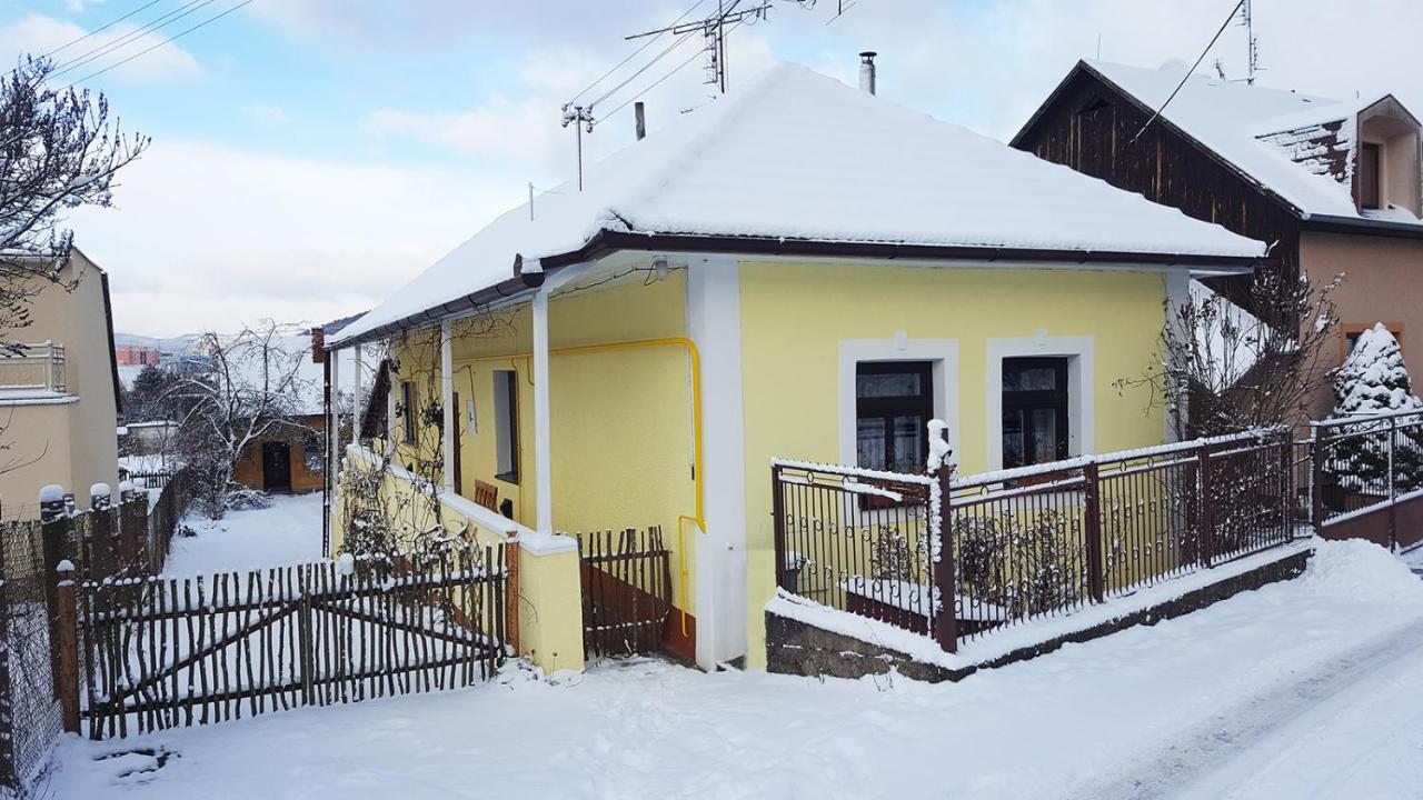 Lately Renovated Country House Trencin Exterior foto