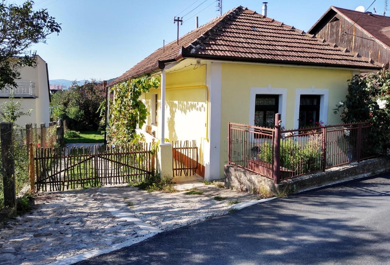 Lately Renovated Country House Trencin Exterior foto