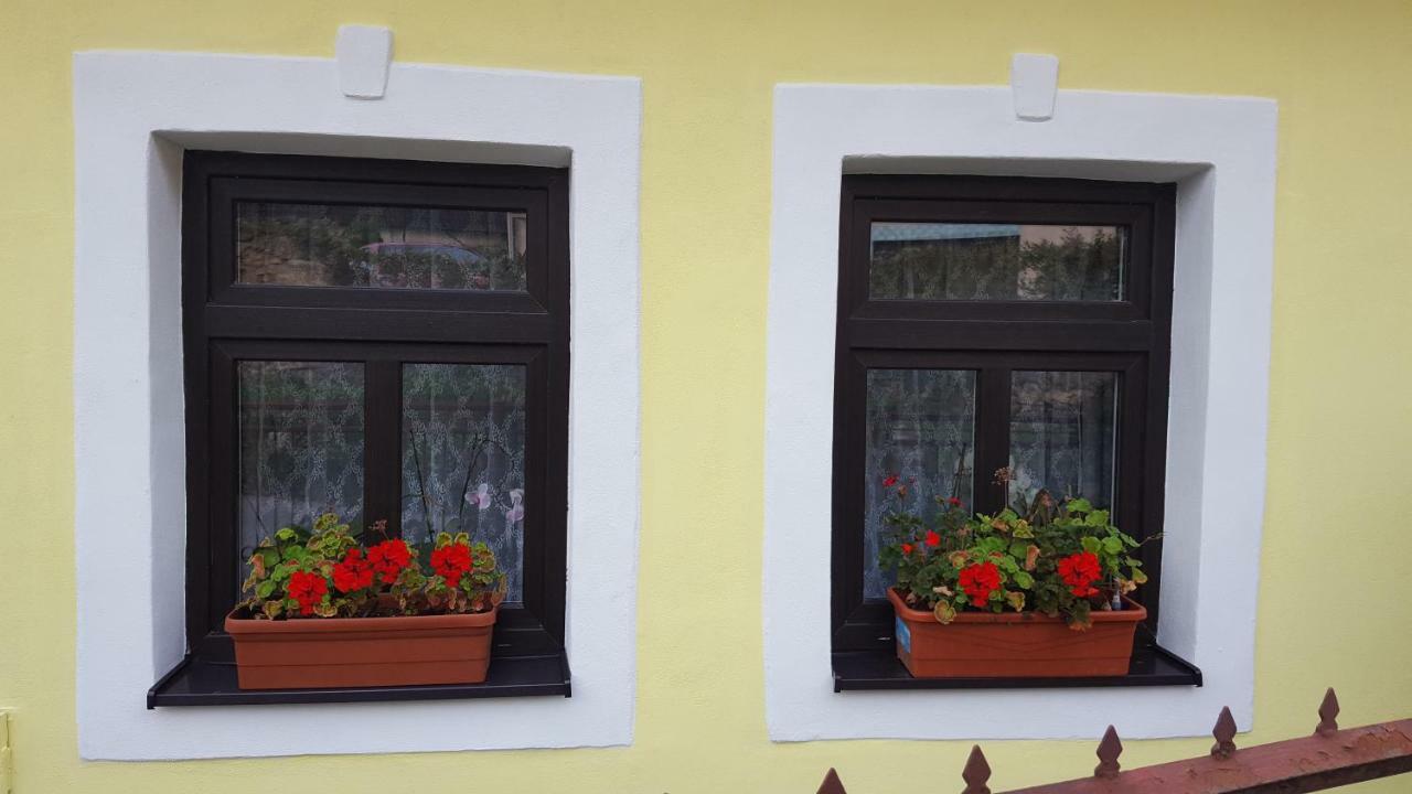 Lately Renovated Country House Trencin Exterior foto